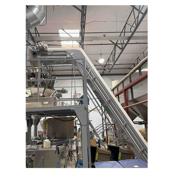Automated Bag Filling and Sealing Machine - Multi-Head Doser with Conveyor - 60 bpm - Stock S0549