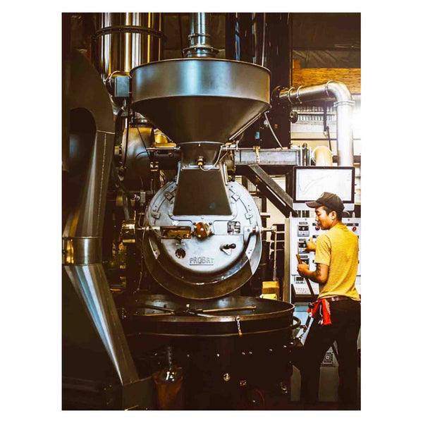 45kg Probat G45 Used Coffee Roaster and Mini-Plant - Acquired 2013