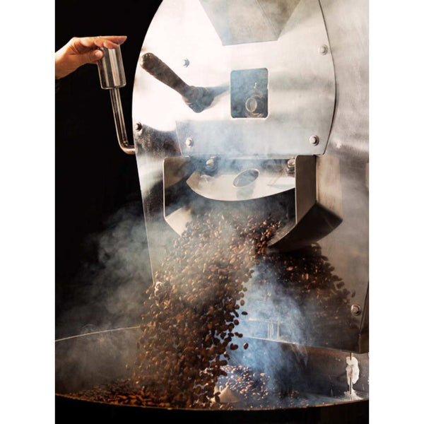 12kg Used Coffee Roaster Set - Diedrich IR-12 - Optional Afterburner - Classic 1998 - Stock S0465