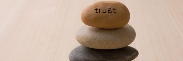 The Fastest Way to Lose Trust is Through Surprises