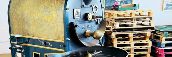 The Workhorse: Everything You Need to Know About the 12kg Coffee Roaster