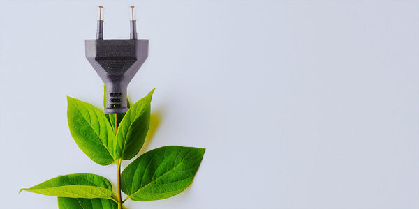 Coffee Roastery of the Future