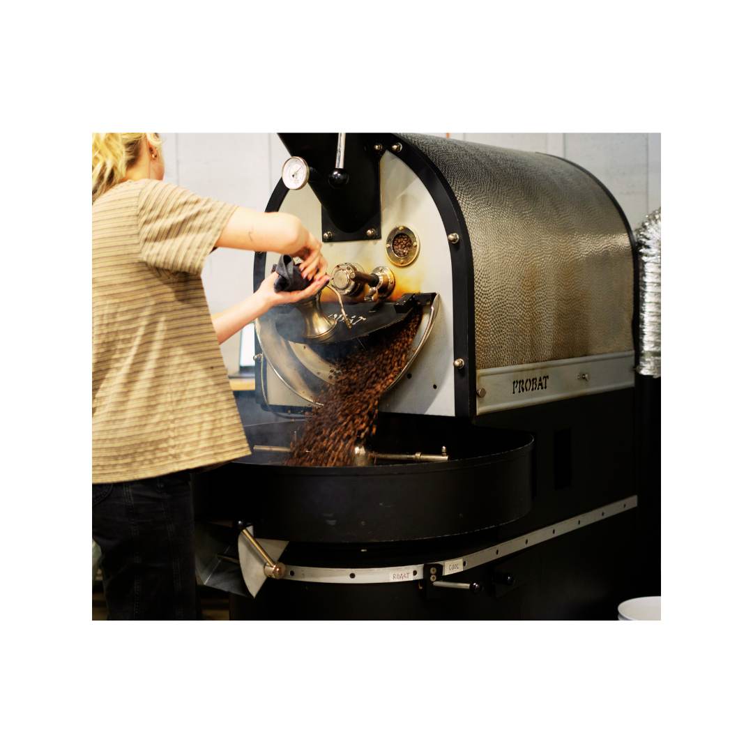 12kg Probat L12 used coffee roaster bean release