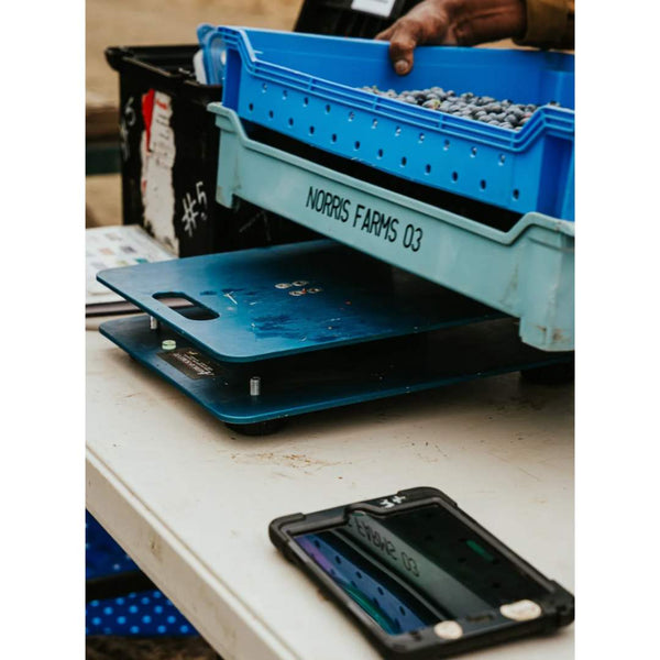 two portable coffee bean scale man holding to show size