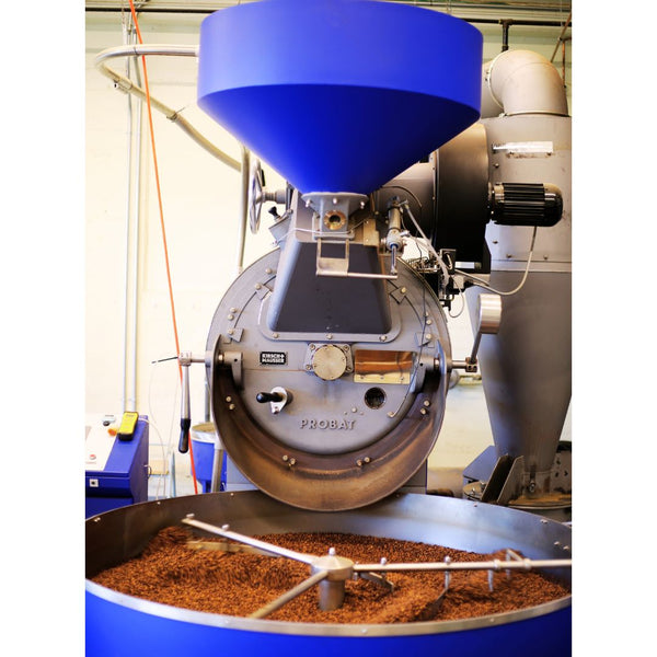 45kg Probat G45 Used Coffee Roaster and Mini-Plant - Retro-refurb by Kirsch & Mausser - 2019 - Stock S0765